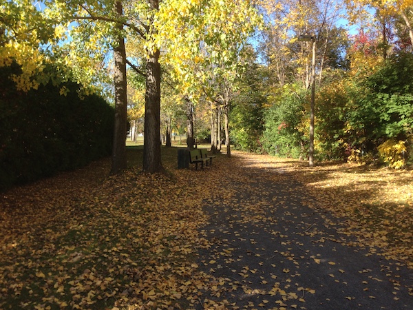 Sentier d'automne